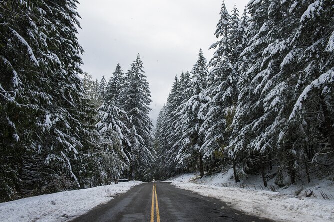 Olympic National Park Self-Guided Driving Audio Tour - Madison Falls trailhead: short, paved, and wheelchair friendly