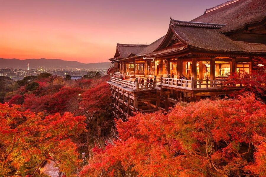 One Day Private Customized Self-Guided Tour in Kyoto - A Private Car Turns Kyoto Into a Do-What-You-Want Day