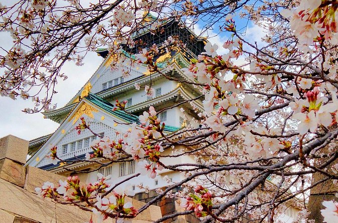 Osaka Castle & Temple Walking Tour with Multilingual Audio Guide - Shitennoji Central Complex: The Part You’ll Remember