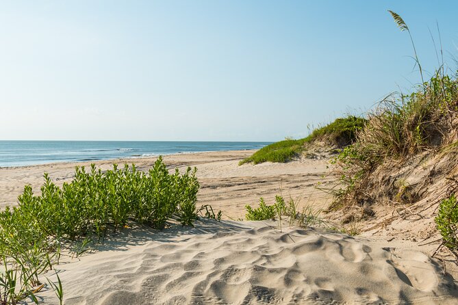 Outer Banks Self-Guided Driving Audio Tour - Pea Island National Wildlife Refuge: birds meet barrier-island life