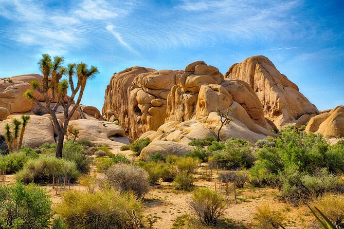 Palm Springs and Joshua Tree Self-Guided Driving Audio Tours - Key highlights you’ll actually use