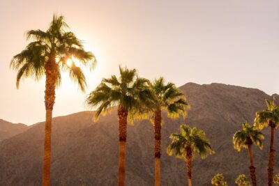 Palm Springs and Joshua Tree Self-Guided Driving Audio Tours - Palm Springs start point: the Visitor Center parking lot cues the whole route