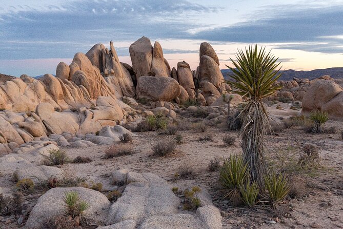 Palm Springs and Joshua Tree Self-Guided Driving Audio Tours - Robolights and the Walk of the Stars: playful stops with quick payoff