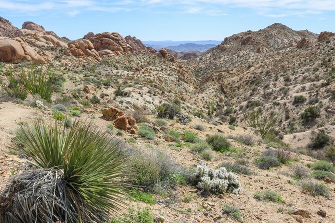 Palm Springs and Joshua Tree Self-Guided Driving Audio Tours - Desert Memorial Park: Sinatra’s goodbye (including the odd details)