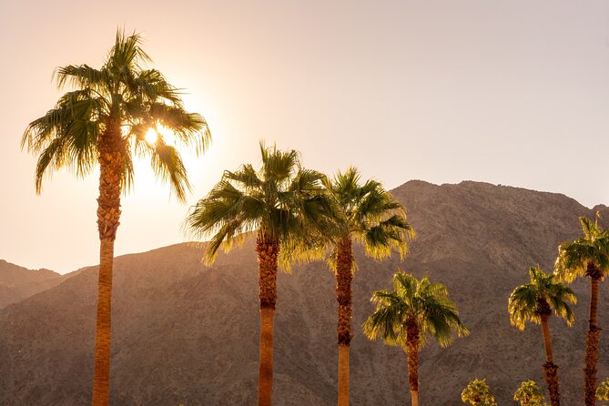 Palm Springs and Joshua Tree Self-Guided Driving Audio Tours - Palm Springs start point: the Visitor Center parking lot cues the whole route