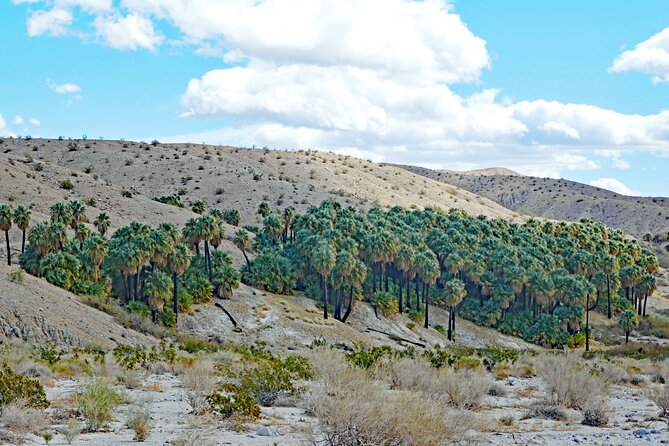 Palm Springs Self-Guided Driving Audio Tour - Price and Logistics: $16.99 per car, built for your own pace