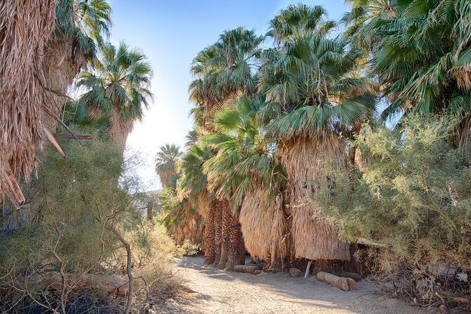 Palm Springs Self-Guided Driving Audio Tour - Movie Colony drive and El Mirador memories: Hollywood in desert form