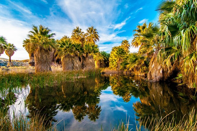 Palm Springs Self-Guided Driving Audio Tour - Coachella Valley and the airport story: More than festival name recognition