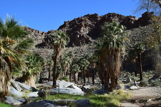 Palm Springs Self-Guided Driving Audio Tour - Sinatra gravesite and pacing advice: Worth it if you’re in the mood