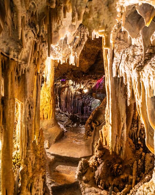 Palma: Caves of Genova Ticket & Digital Audio Guide - Price and value: what you’re paying for