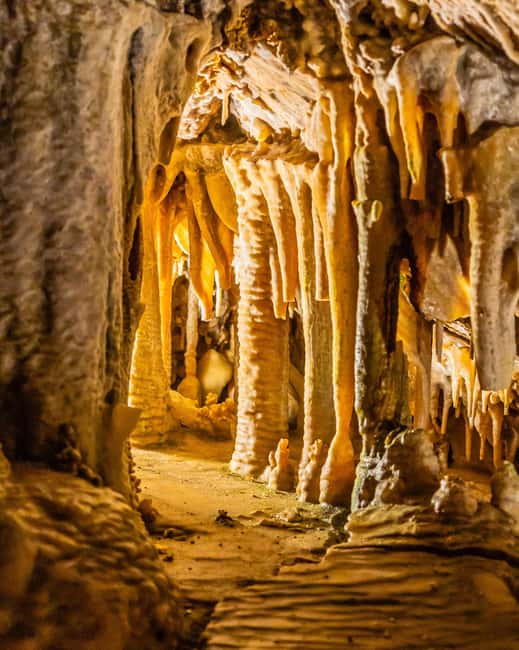 Palma: Caves of Genova Ticket & Digital Audio Guide - Should you book the Caves of Génova ticket and audio guide?