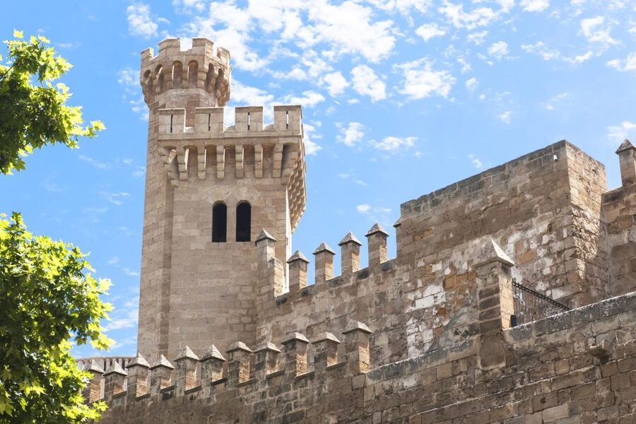 Palma de Mallorca: Self-Guided Audio Tour - Compatibility and device limits you should double-check