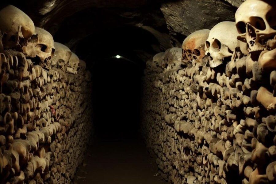 Paris: Catacombs, Audio Guide, and River Cruise Option - Should you book this Catacombs and Seine combo?