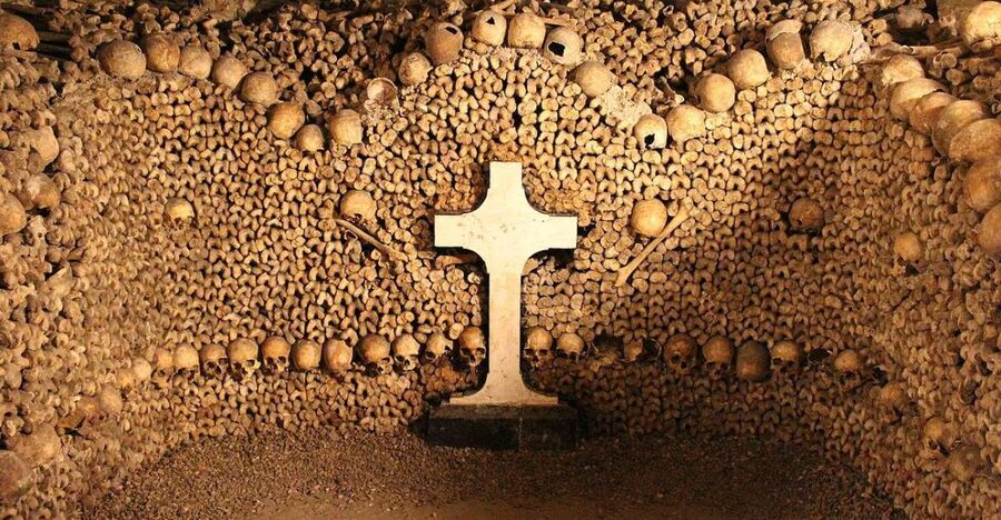 Paris: Catacombs Entry & Seine River Cruise with Audio Guide - Timing and ticket email: the part that can make or break your day