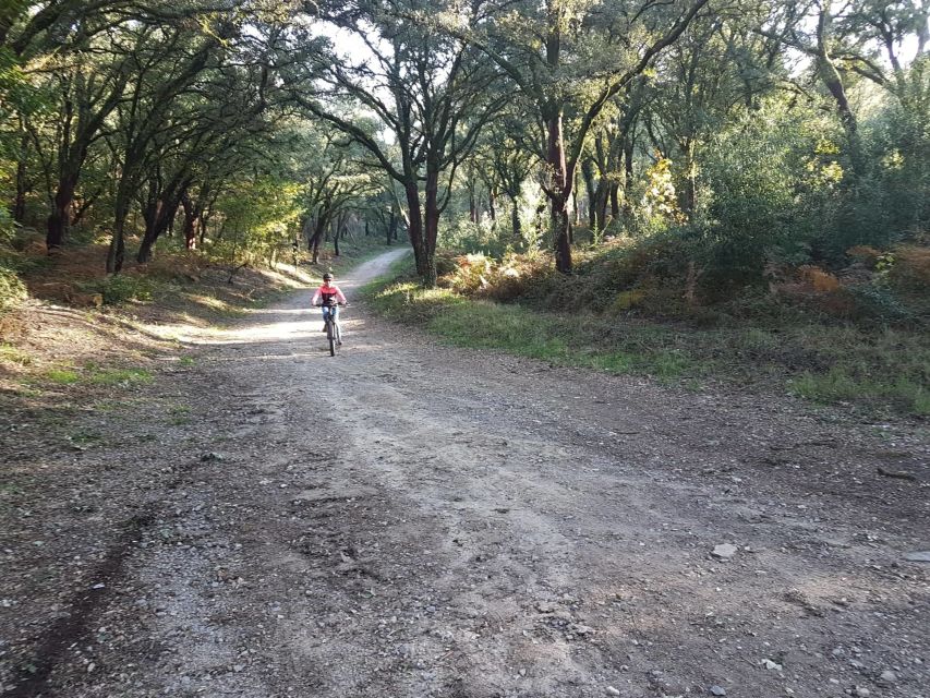 Peneda Gerês National Park: Self-Guided Electric Bike Tour - Key points at a glance