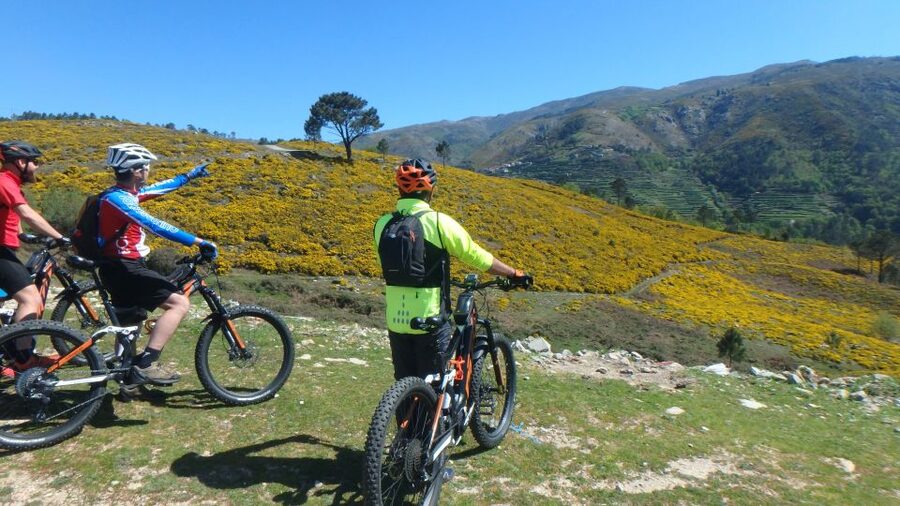 Peneda Gerês National Park: Self-Guided Electric Bike Tour - Why a 50-km, 1,300-m ride feels right in Peneda-Gerês