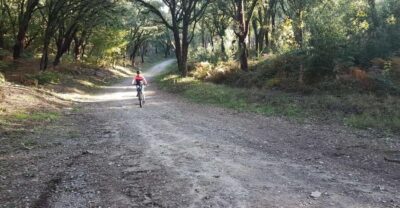 Peneda Gerês National Park: Self-Guided Electric Bike Tour - Tobogã Base and the Lima River crossing at Touvedo Dam
