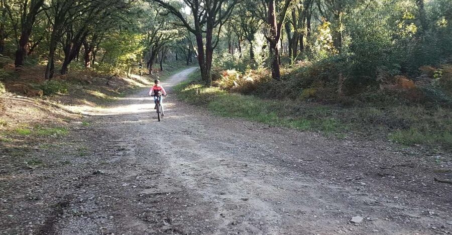 Peneda Gerês National Park: Self-Guided Electric Bike Tour - Tobogã Base and the Lima River crossing at Touvedo Dam