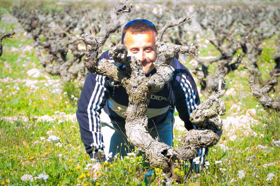 Penedès/BCN: Self-Guided eBike Tour with guided Winery Visit - Getting There From Barcelona: Lavern-Subirats and the R4 Train