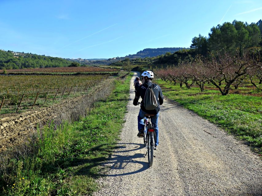 Penedès/BCN: Self-Guided eBike Tour with guided Winery Visit - Pricing and Value: Is $77 a Good Deal?