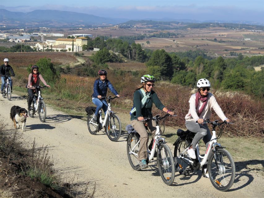 Penedès/BCN: Self-Guided eBike Tour with guided Winery Visit - Who This Tour Suits Best (and Who It Doesn’t)