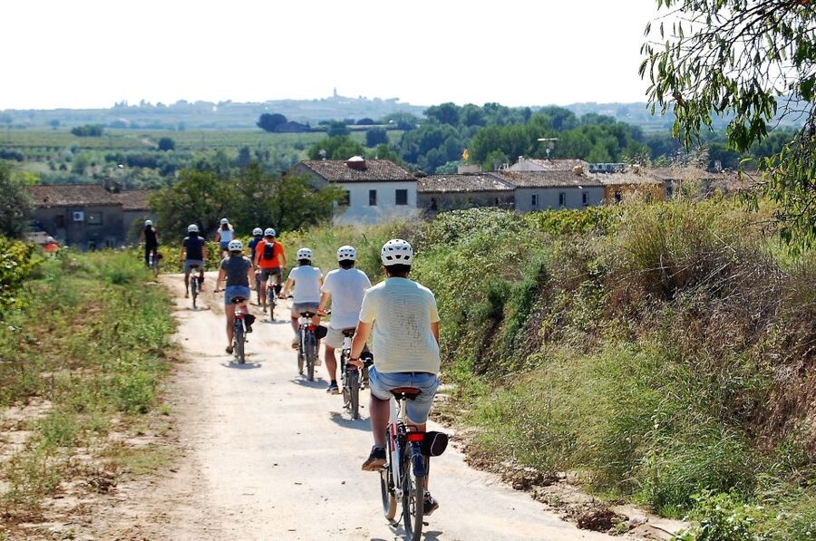 Penedès/BCN: Self-Guided eBike Tour with guided Winery Visit - Should You Book This Penedès eBike + Winery Tour?