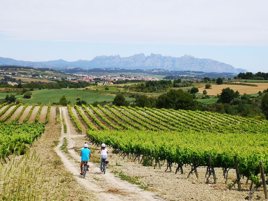Penedès/BCN: Self-Guided eBike Tour with guided Winery Visit - Bikes, Phones, and Support: How Self-Guided Stays Easy