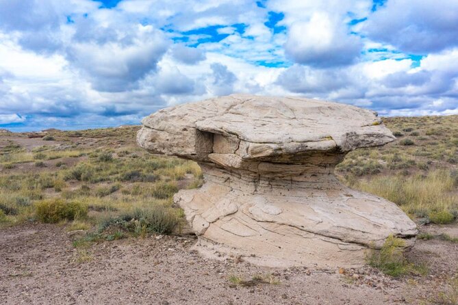 Petrified Forest National Park Self-Guided Driving Audio Tour - Painted Desert Rim Trail: The Easy Legs Stop That Sets the Tone