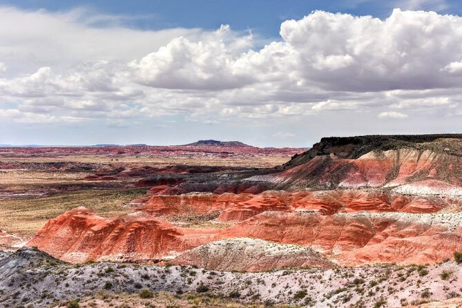 Petrified Forest National Park Self-Guided Driving Audio Tour - Pintado Point and Nizhoni: The 360-Degree Moment