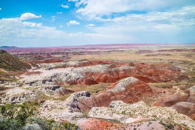 Petrified Forest National Park Self-Guided Driving Audio Tour - Blue Mesa: The Short Trail Detour That Gets You Color Fast
