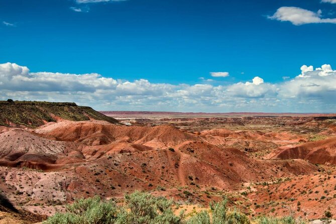 Petrified Forest National Park Self-Guided Driving Audio Tour - Petroglyphs and a Moderately Challenging Walk Option