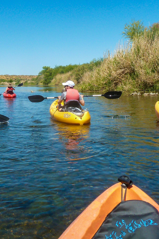 Phoenix: Self-Guided Kayaking Trip to Foxtail - Should You Book the Phoenix to Foxtail Self-Guided Kayak Trip?