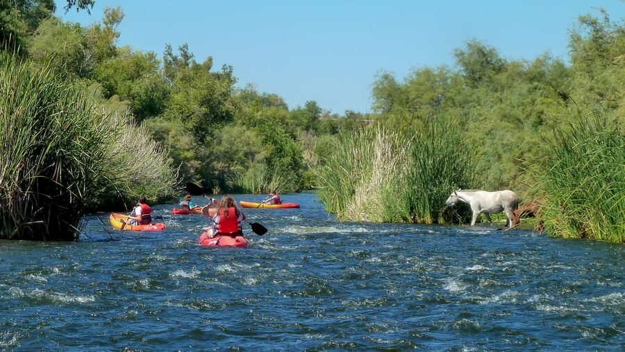 Phoenix: Self-Guided Kayaking Trip to Foxtail - What the 15-Minute Orientation Covers (and What You’re Still Responsible For)
