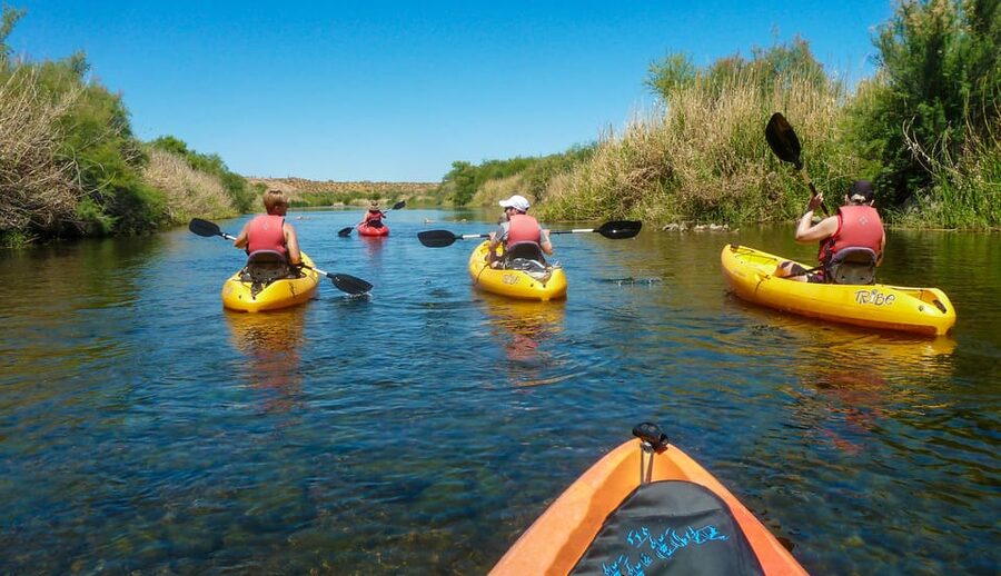 Phoenix: Self-Guided Kayaking Trip to Foxtail - Wildlife Viewing on the Salt River: Expect Birds and Big Mammals