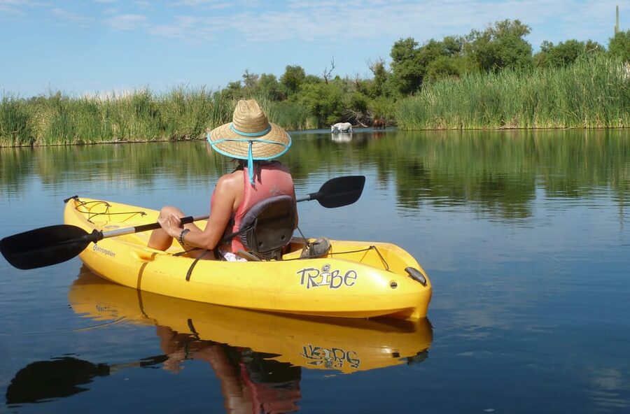 Phoenix: Self-Guided Kayaking Trip to Foxtail - Gear That Makes a Difference: Sit-on-Top Kayaks and Staying Comfortable