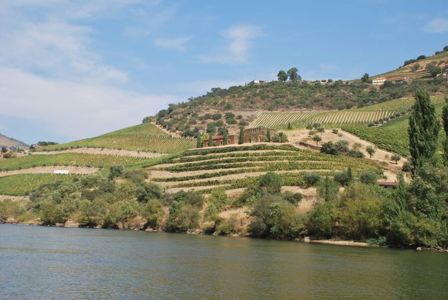 Pinhão: 2-Hour Rabelo Boat Tour with Audio Guide - The Pinhão to Tua leg: what you see between the quintas