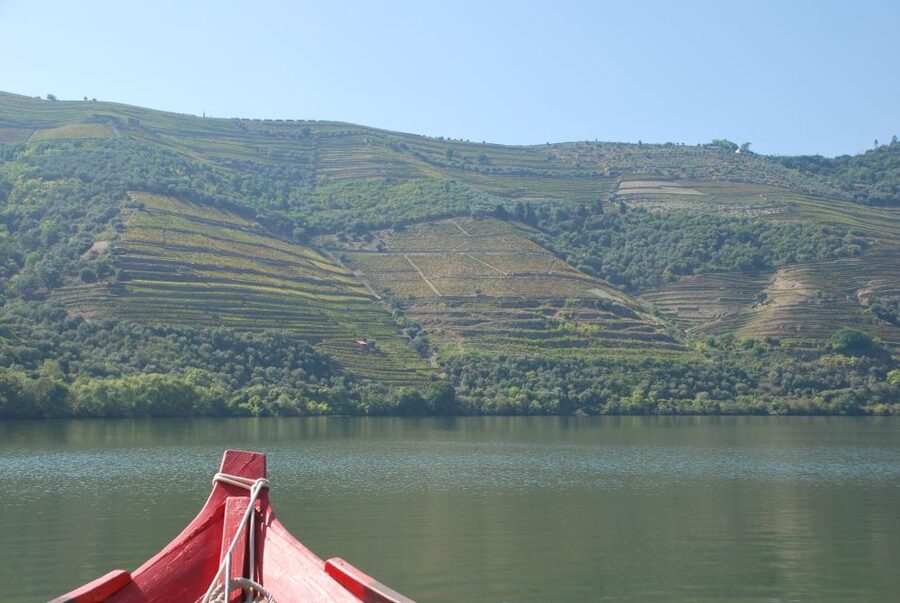 Pinhão: 2-Hour Rabelo Boat Tour with Audio Guide - The return downriver: why going back feels different