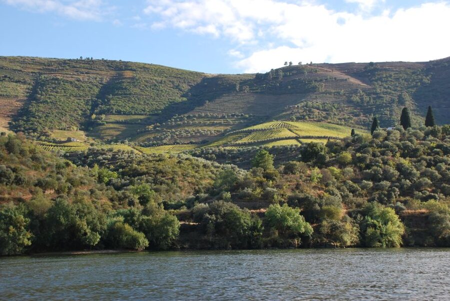 Pinhão: 2-Hour Rabelo Boat Tour with Audio Guide - Price and value: is $35 for 2 hours a good deal?