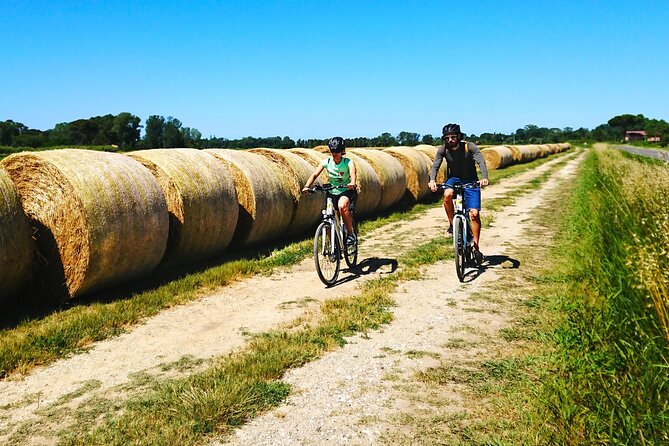 Pisa to Lucca Self-Guided Bike Tour Along the Puccini Trail - Lucca’s medieval walls: the viewpoint moment you paid for