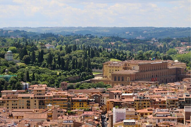 Pitti Palace and Boboli Garden Timed Entry Ticket with Audio Tour - Audio guide app: useful when setup isn’t a headache