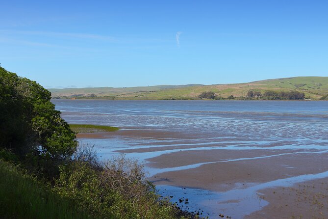 Point Reyes National Seashore Self Guided Driving Audio Tour - Drakes Estero: a marsh inlet hike with a footbridge view