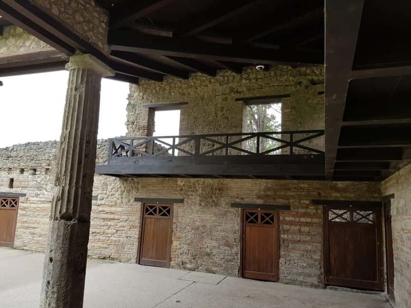 Pompeii: Entry Ticket w/ Guide and Transfers or Audio Guide - Transfers from Rome: when it’s worth outsourcing the logistics