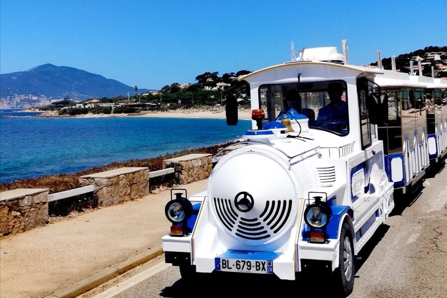 Porticcio: Coastal Train Ticket with Audio Guide & Tastings - The end tasting: wine plus Corsican classics