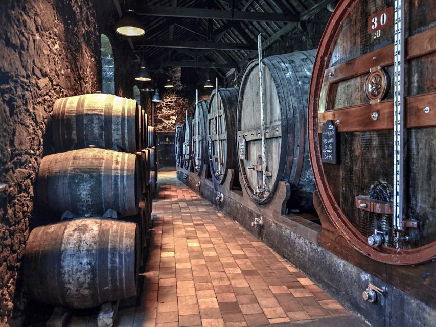 Porto: Self-Guided Bike and Boat Tour with Port Wine Tasting - Who this suits best (and who should choose differently)