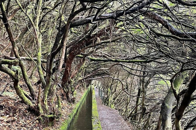PR6 & PR6.1 25 Fontes & Risco Levada Self-Guided Hiking Rabaçal - Why 25 Fontes and Risco Levada are a Madeira must