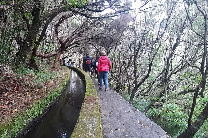 PR6 & PR6.1 25 Fontes & Risco Levada Self-Guided Hiking Rabaçal - Calheta and Ponta do Sol: the drive views plus local context