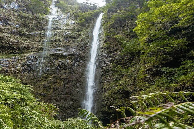 PR9 Caldeirão Verde Queimadas Levada Self-Guided Hiking Transfer - Price and Logistics: Is $39.76 Good Value?