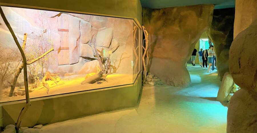 Prague: Prague Zoo Audio Guide with E-Ticket - Prague Zoo Audio Guide in Troja: what you’re really buying