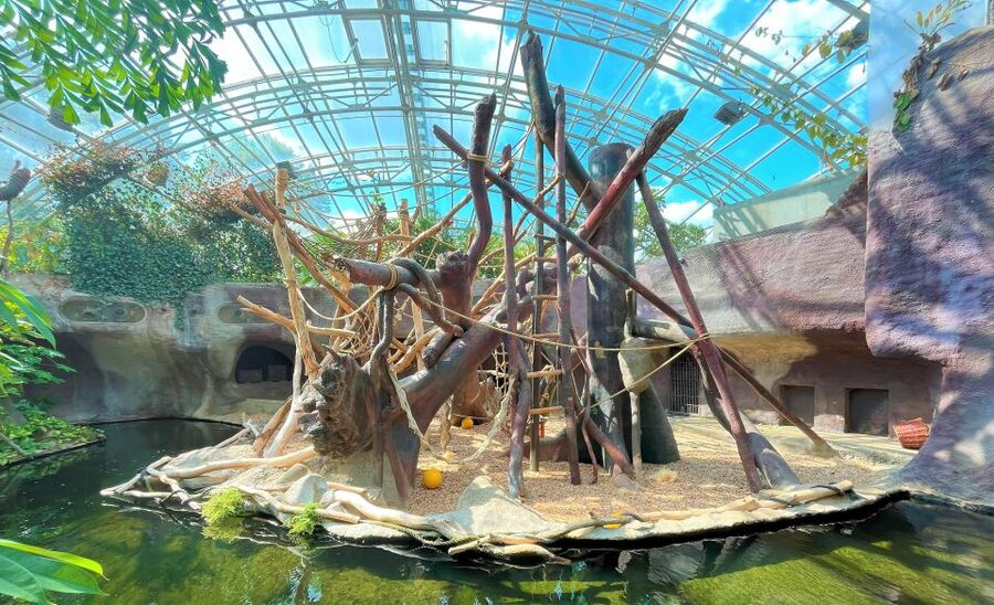 Prague: Prague Zoo Audio Guide with E-Ticket - Your e-ticket: what you’ll receive and the common mistake to avoid