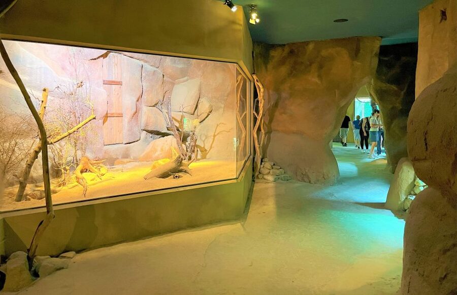 Prague: Prague Zoo Audio Guide with E-Ticket - Before you go: the big rule is internet access
